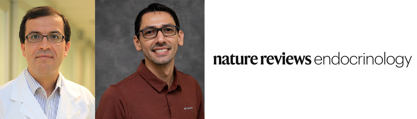 Modelos de regulación del peso corporal: La investigación de Nutrición UC que logra publicación en prestigiosa revista