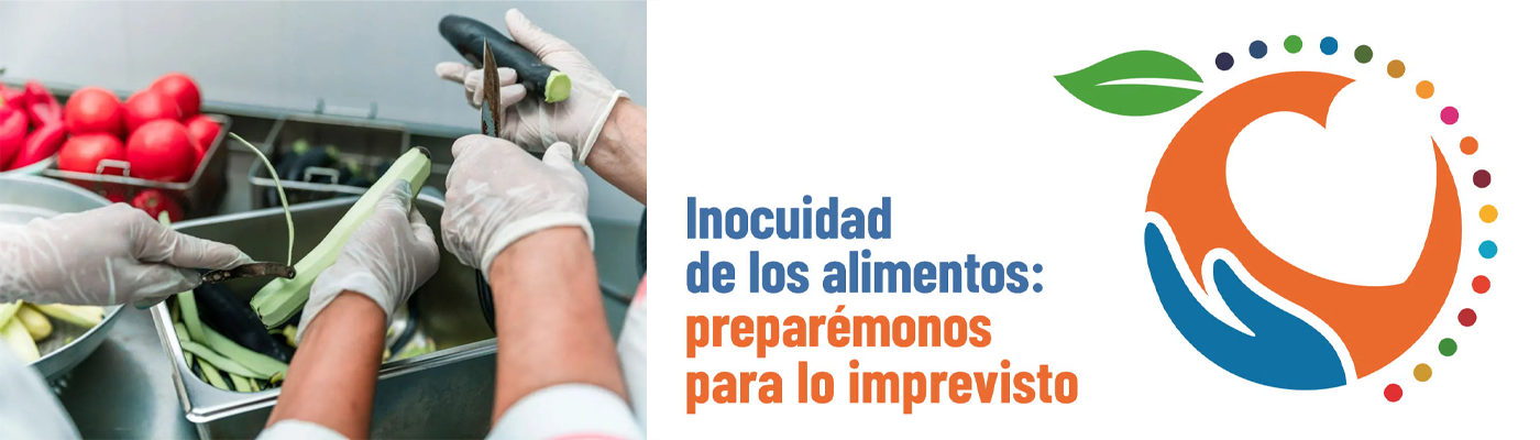 Inocuidad alimentaria: la deuda de Chile con quienes menos pueden elegir