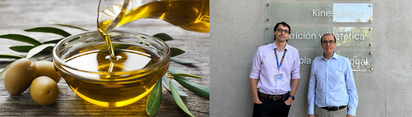 Académicos de Facultad de Medicina UC refutan estudio que asegura que aceite de oliva produce obesidad